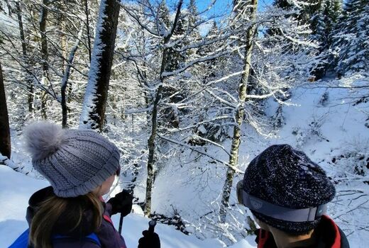 Verschneiter Wald, im Vordergrund zwei Schneewanderer, die einen verschneiten Abhang runterschauen