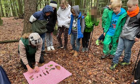 Waldpädagoge breitet Blätter auf einem Tuch aus und Schülerinnen und Schüler stehen im Kreis um ihn herum.