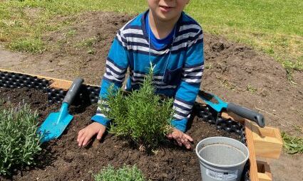 Ein Kind pflanzt Kräuter ein