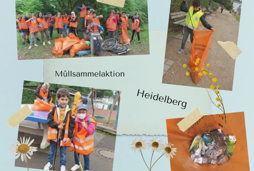 Eine Fotocollage mit den Bildern der Schüler die an der Sammelaktion beteiligt waren. Links oben ein Gruppenbild, Rechts ein Junge der mit einer Müllzange den Müll einsammelt, links unten Zwei Schüler mit Warnwesten, links unten ein gefüllter Müllsack.
