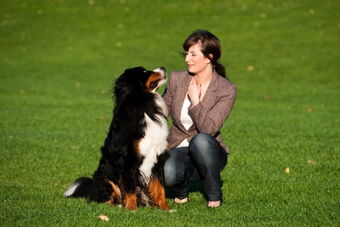 Trainerin mit Mailo dem Therapiehund Trainerin mit Mailo dem Therapiehund