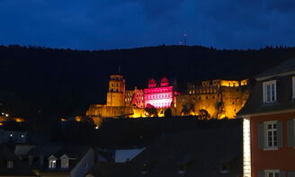 In der Dunkelheit wird das Schloss angeleuchtet.