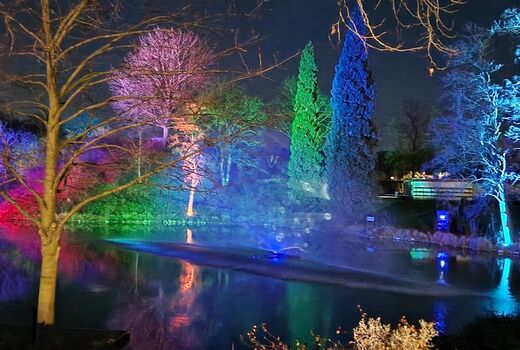 Beleuchtete Bäume und See mit Lichteffekten