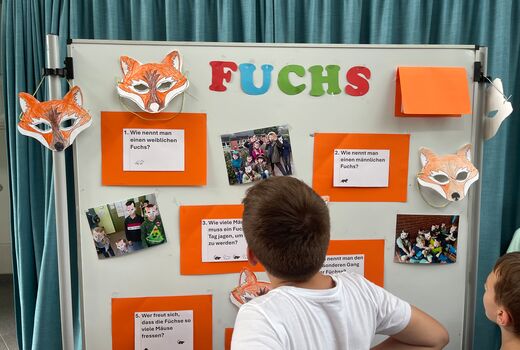 Ein Schüler steht vor einer Stellwand mit dem Fuchs-Quiz und liest die Fragen.