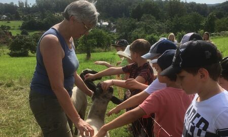 Foto Schülerinnen und Schüler streicheln Schafe, die Lehrerin ist auch dabei.