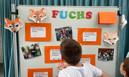 Ein Schüler steht vor einer Stellwand mit dem Fuchs-Quiz und liest die Fragen.