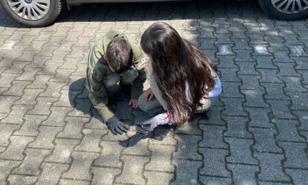 Ein Junge und ein Mädchen aus der zweiten Klassen knien auf dem Boden und sammeln mit Handschuhen Müll auf einem leeren Autoparkplatz auf.