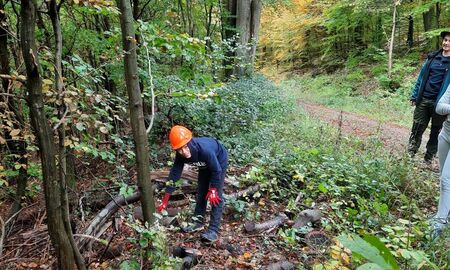 Schülerinnen und Schüler wollen einen Baum fällen