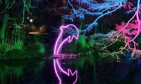 Delfin-Leuchtfigur