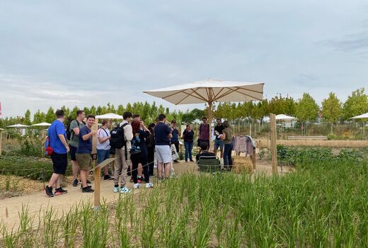 Die Schülerinnen und Schüler stehen auf einem Feld und hören dem Vortrag der Referentin zu.