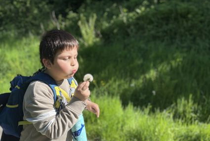 Junge mit Pusteblume