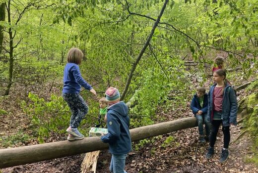 Kinder balancieren über Baumstamm