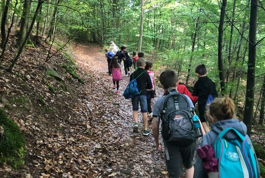 Viele Kinder laufen einen Waldweg hoch