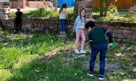 Zwei Mädchen und zwei Jungen aus der zweiten Klasse sammeln mit Handschuhen und Müllzangen auf einer Wiese Mülle.