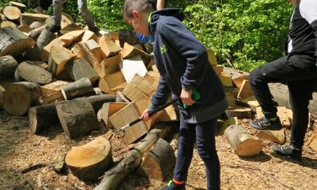 Vier Drittklässler sammeln im Wald um einen Stapel gespaltenem Holz mit Handschuhen und Müllzangen Müll auf.