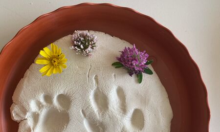 In einer roten Tonschale liegt ein weißer Gipsabdruck von einem kleinen und großen Biberfuß und ist mit drei frischen Blumen geschmückt