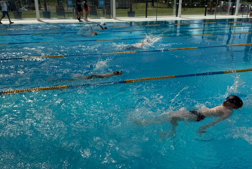 Fünf Kinder schwimmen in verschiedenen Bahnen nebeneinander