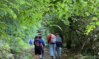 Spaziergang durch den Wald
