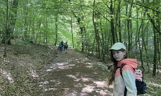 Spaziergang durch den Wald